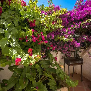 Pinos 2 Nerja